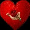 asmaa.ahmed8224
