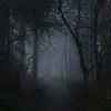 hello_hi593