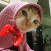 nabila_memekucing