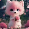 rosa.m.jd