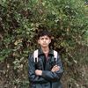 manishluitel06