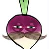 sirtyrnip