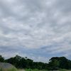 santi_2133