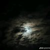 leaputrianabella_9801