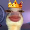 jvly176