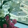 hajar.muhamad74