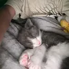 emmis_32