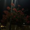 asma2106_