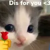alinara714