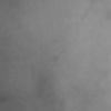 brii_dhh