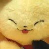meowww.b2p