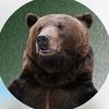 Tom.Bear.Tom
