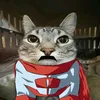 omnicat2