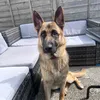 micco.thegsd