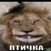 chenna1s