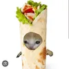 ilnaz_d21