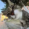 thanhduc051