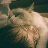 caption_creator73