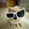 pupsik36990