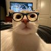 manusiaintrovert111_