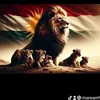mohammd.zebare