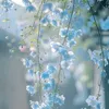 izanakurokawa_3008