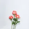 kay62127