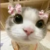 crisdevon5
