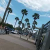 mimijouf