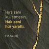 lum.ieim