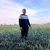 alishahat80