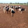 mahamadou.mamane92