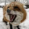 omnyxa1