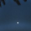 othmanalj_3