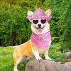 barbiecowgirlcorgi