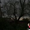 fatima_3099_