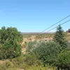 tamy_981