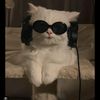 anel_sleygi6