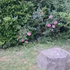 ivanov.lilia1