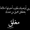 seeaf.abo.aslam