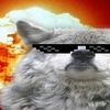 usernetzv