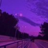 mouzhan.1