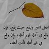 user2799456065056