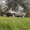 dats_trevor3