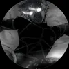 luca._081