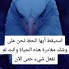 ommostafa44912