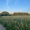 mille.herbst