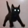 amelia_death