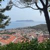 aysenurkurt797