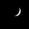 moobina_1